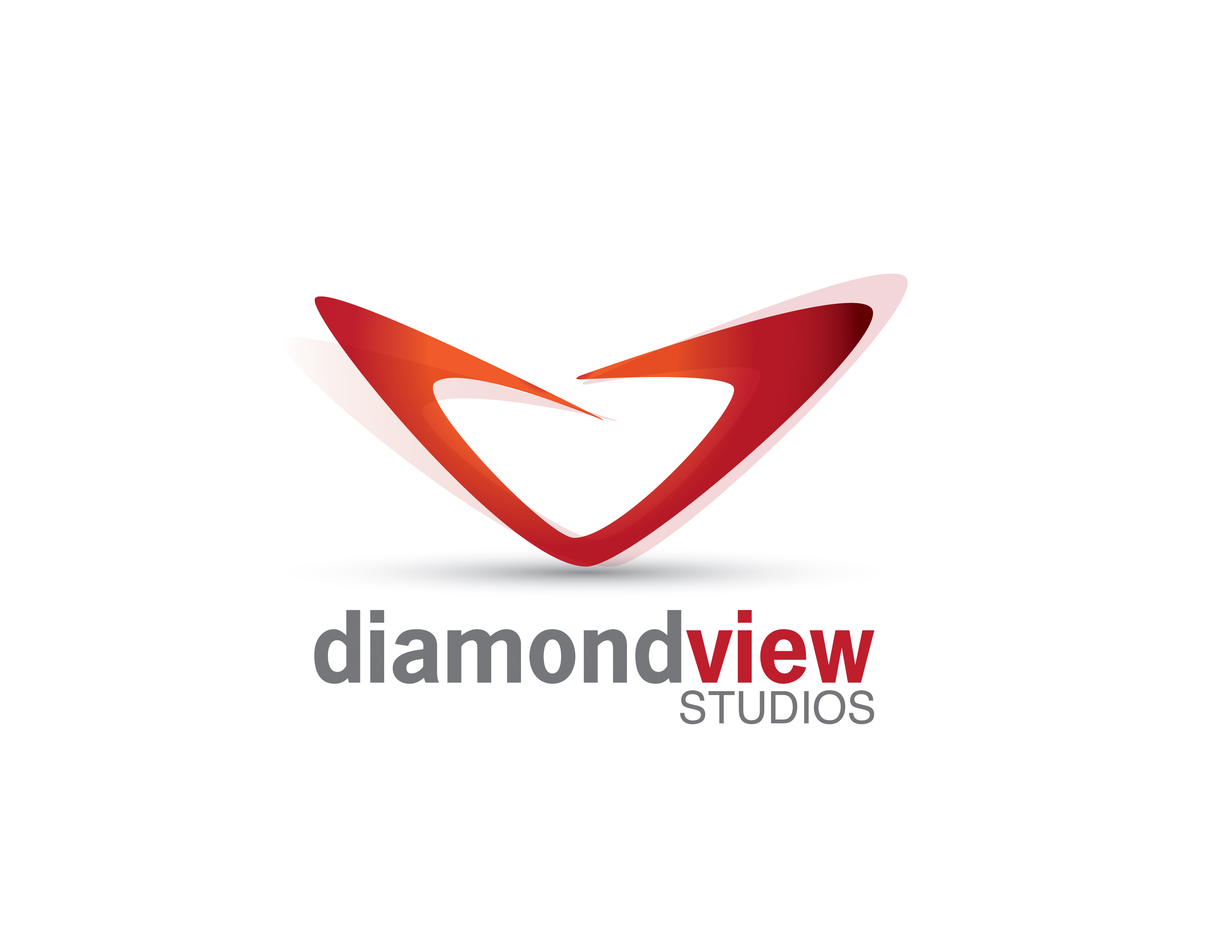 Diamond View Studios_Logo