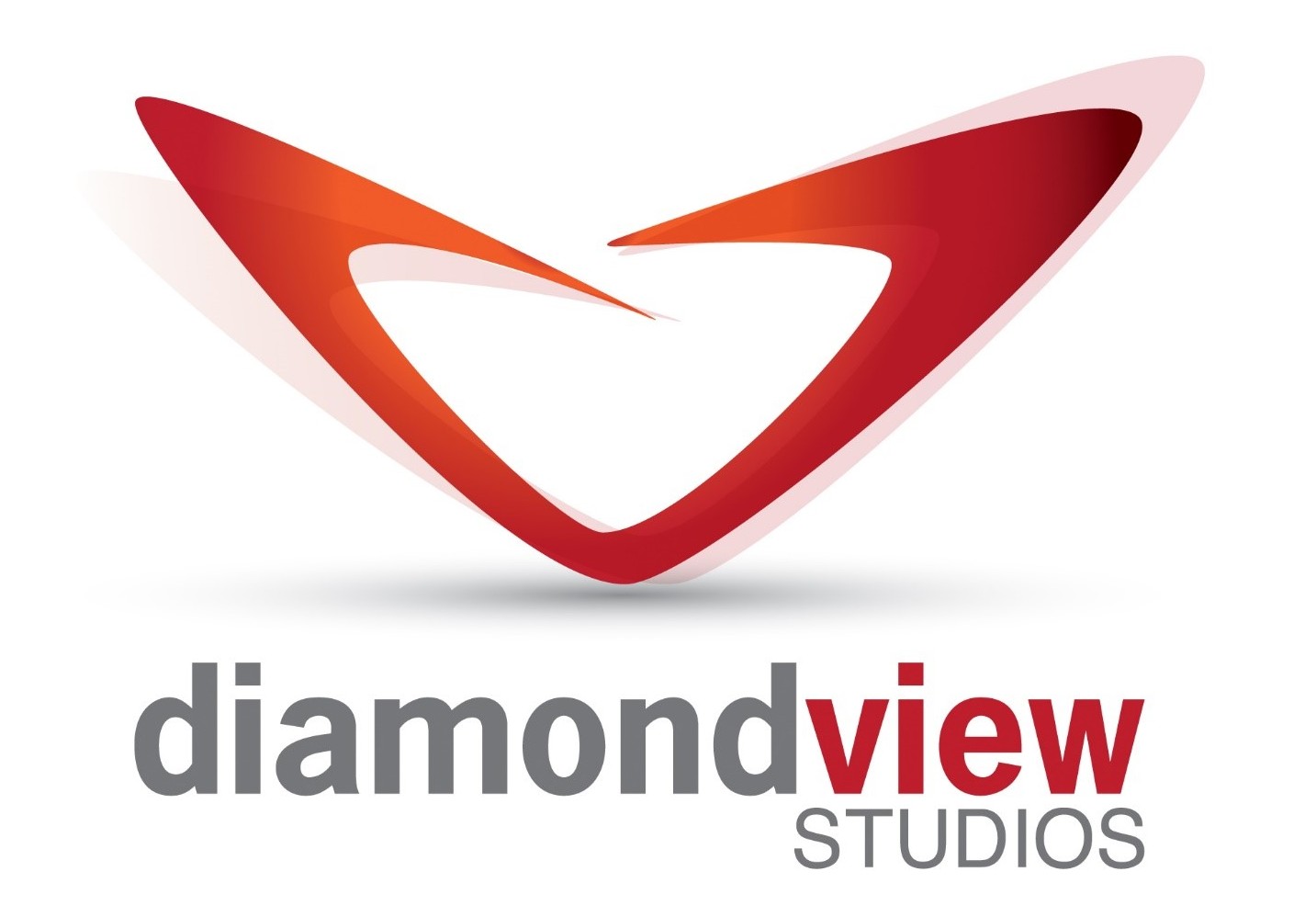 Diamond View Studios_Logo_rev